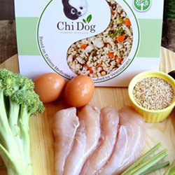 Chi Dog TCM Diets