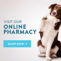 Online Pharmacy